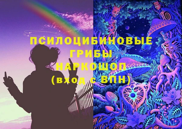 ешки Абинск