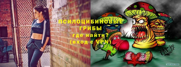 spice Алексеевка