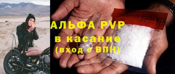 гашик Алексин