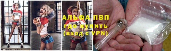 гашик Алексин